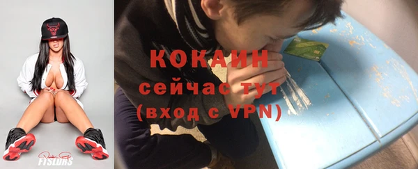 хмурый Белокуриха