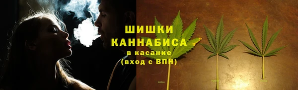 хмурый Белокуриха