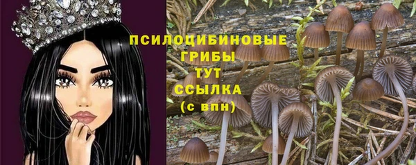дмт Снежинск