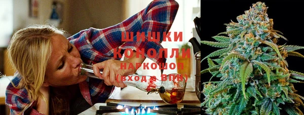 хмурый Белокуриха